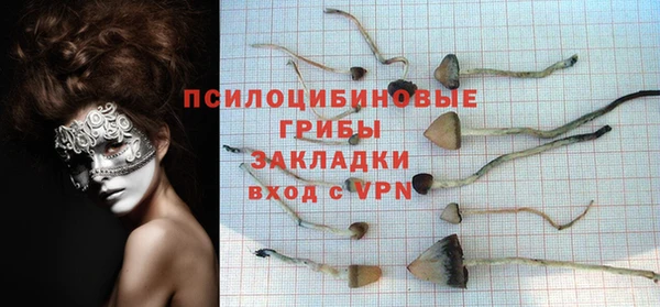 трава Аркадак