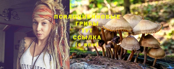 трава Аркадак