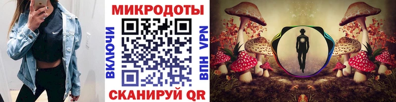где можно купить   Суздаль  Галлюциногенные грибы мухоморы 